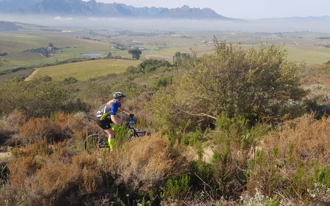 Bottelary hills mtb cheap